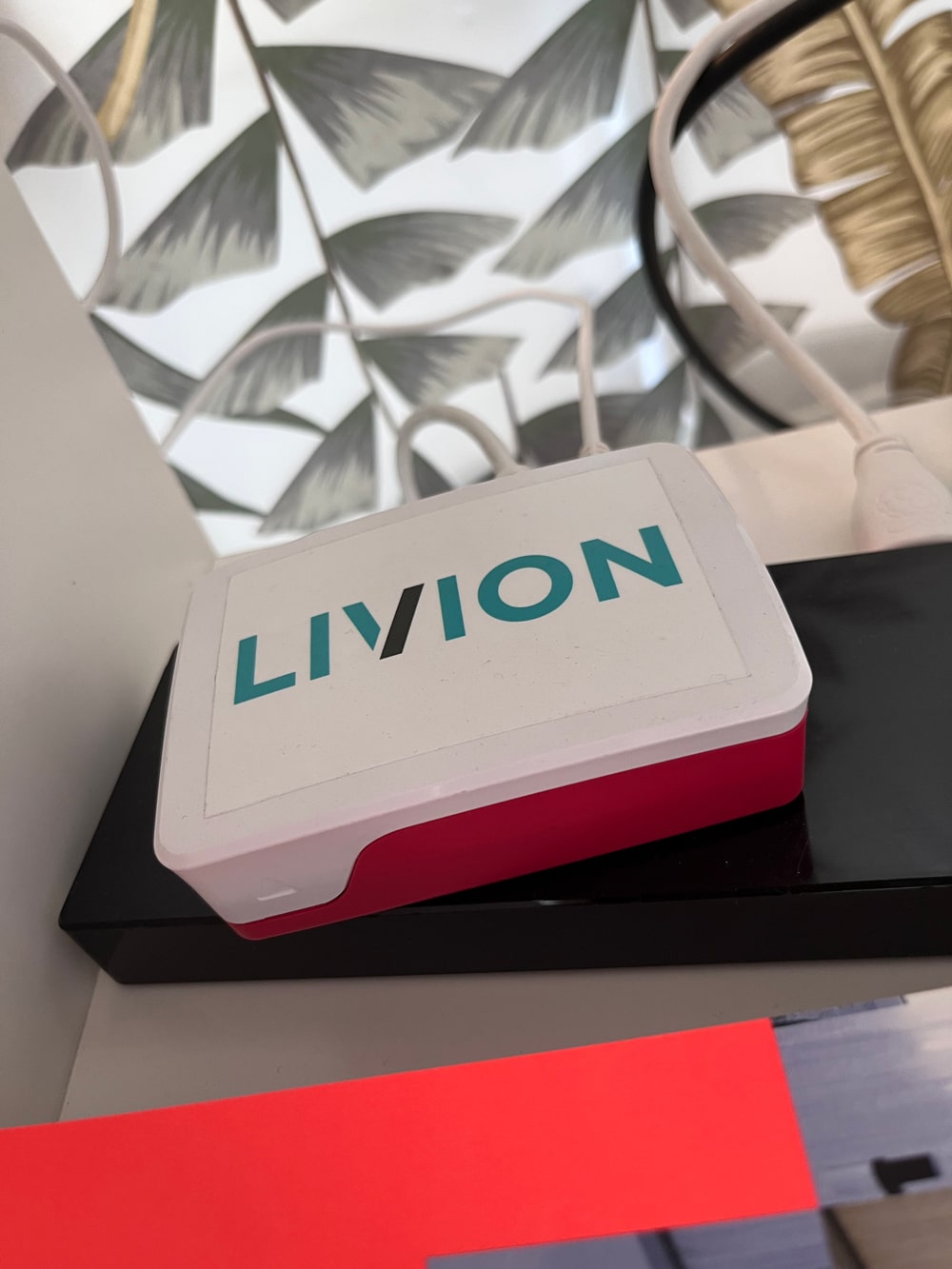 Livion-min